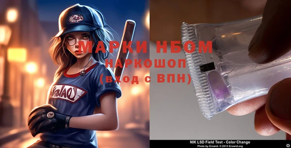 индика Киренск