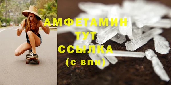 индика Киренск