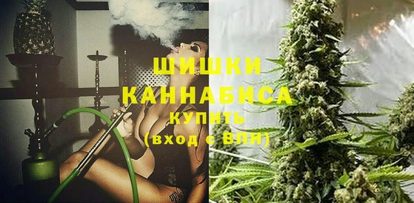 прущие крисы Козловка