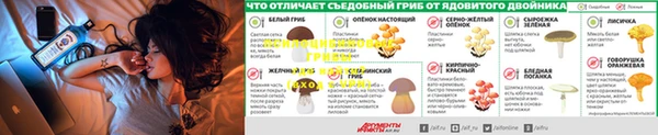 винт Кодинск