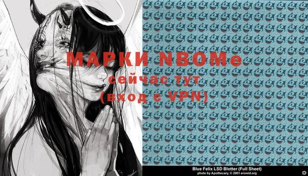 индика Киренск