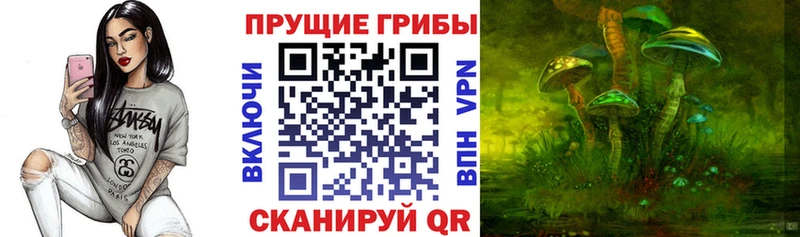 Псилоцибиновые грибы MAGIC MUSHROOMS  Купить где  Десногорск 